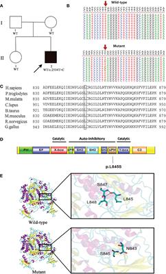 Clinical and immunological features of an APLAID patient caused by a novel mutation in PLCG2